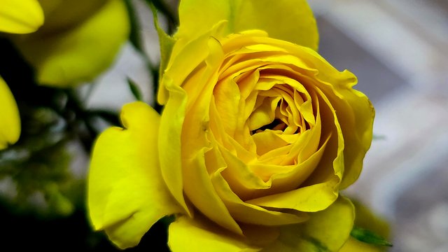 20250512_001742.jpg