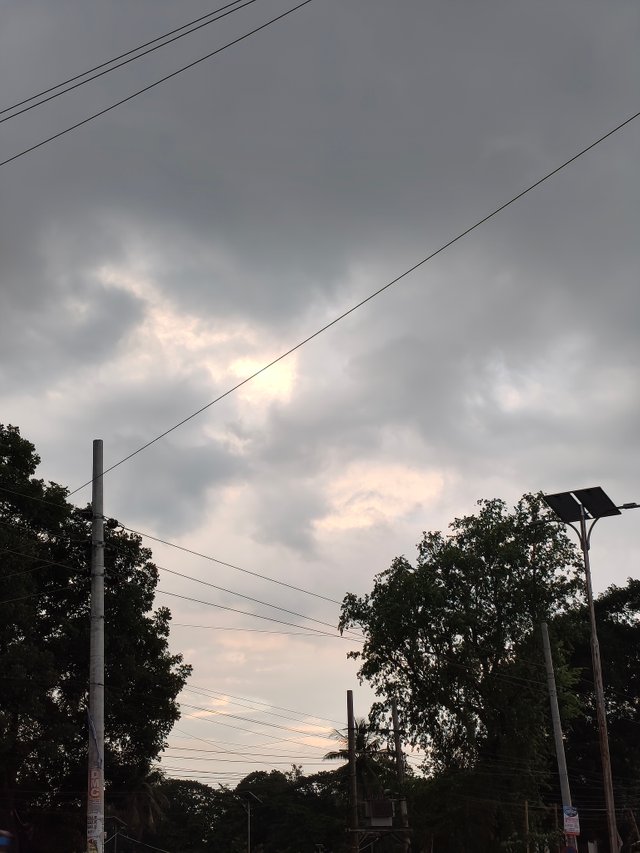 1000010273.jpg