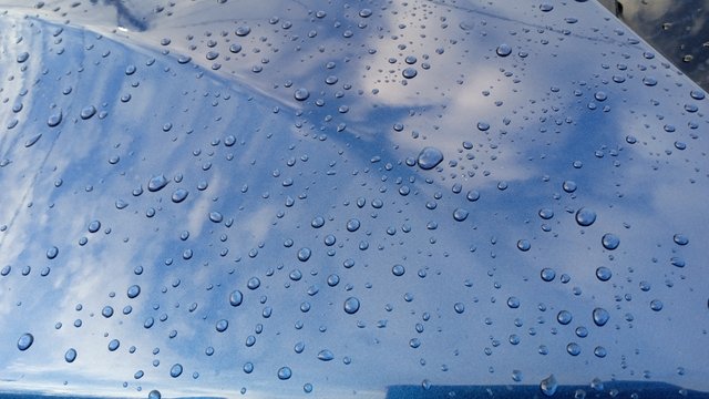 IMG_20250626_064557_1.jpg