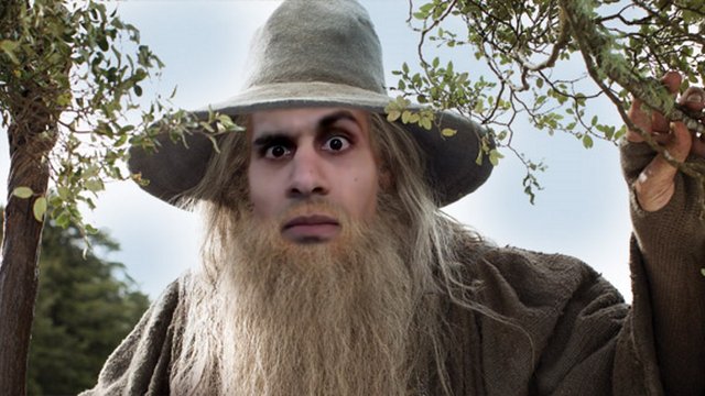 gandalf the brown FLAT.jpg