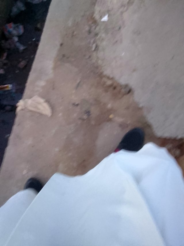 IMG_20250720_061535_492.jpg