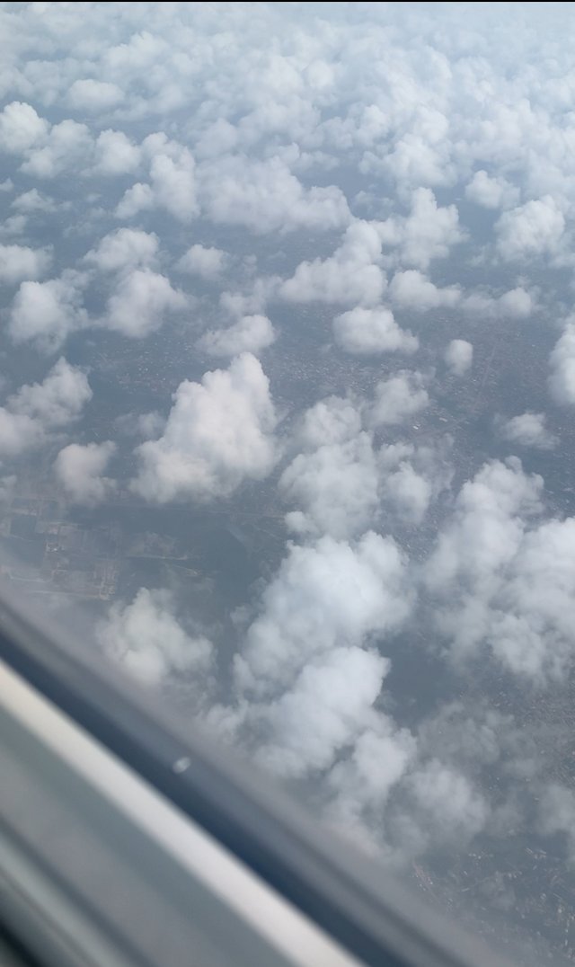 IMG_6861.jpeg