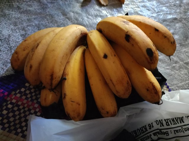 IMG20250830094428.jpg