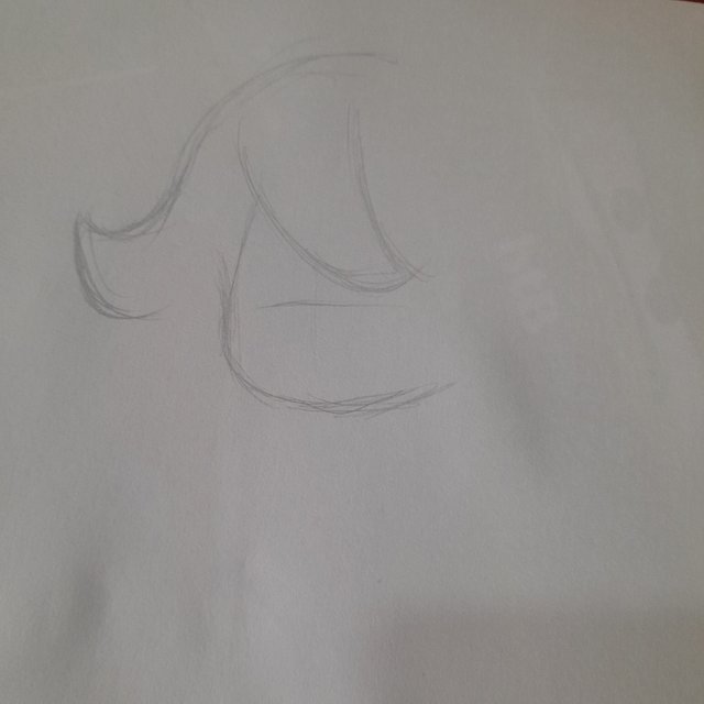 20250622_101215.jpg