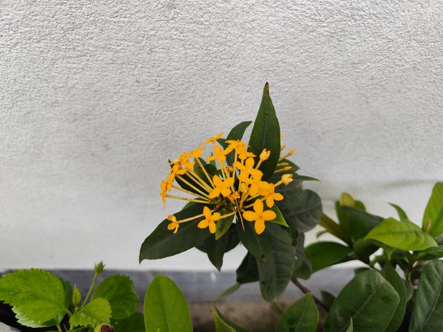 IMG_20250626_143328_1.jpg