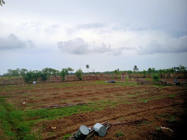 IMG20250821165624.jpg