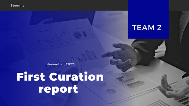 Team 2 First Curation report.png