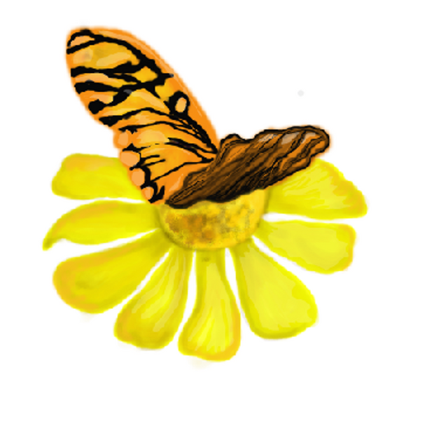 Dibujo_insecto7_mariposa.PNG