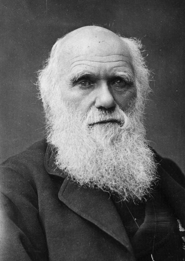 Charles_Darwin_portrait.jpg