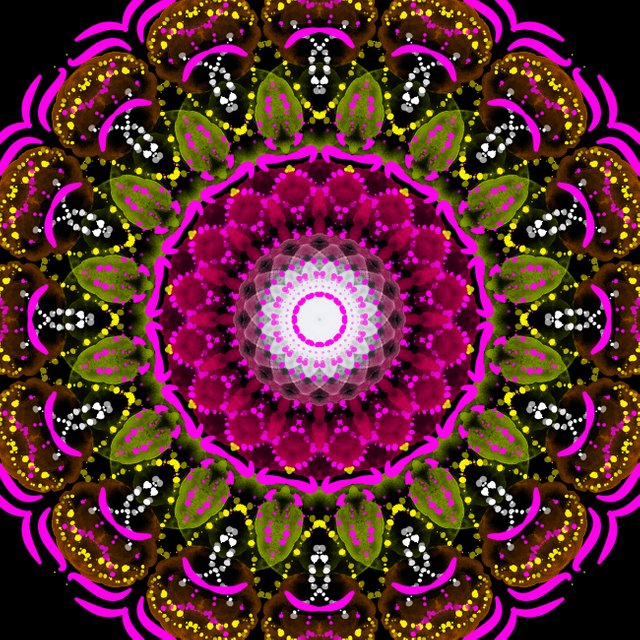 6xex66 (20250319044444).jpg