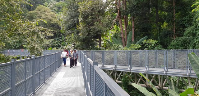 Queen Sirikit Botanical Garden5.jpg