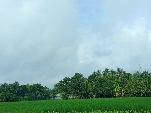 IMG_20250921_150956.jpg