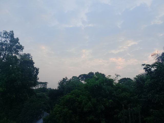 1000031017.jpg