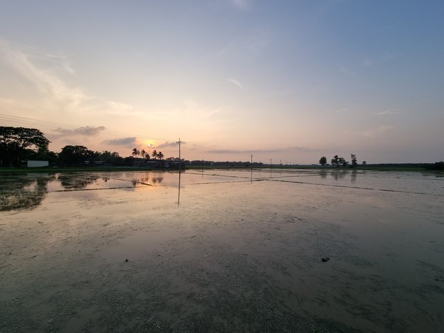20230704_182929.jpg