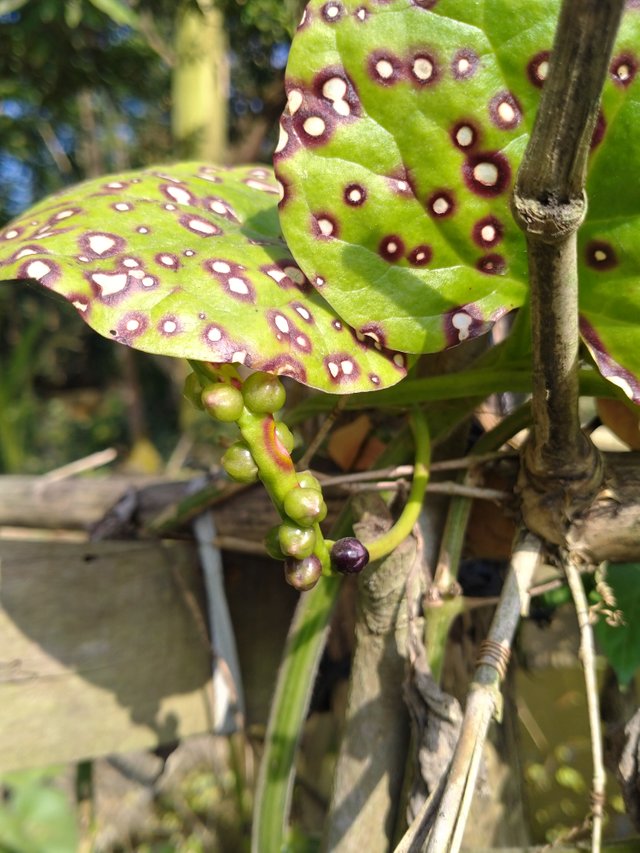 IMG20220105140348.jpg