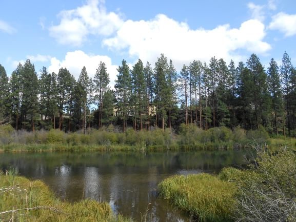 Idyllic Day by Deschutes.JPG