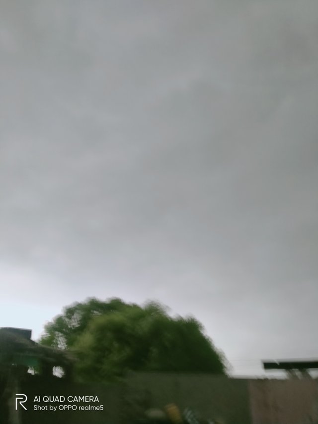 IMG20210908081302.jpg