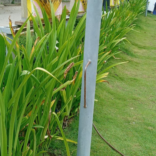 20250503_125715.jpg
