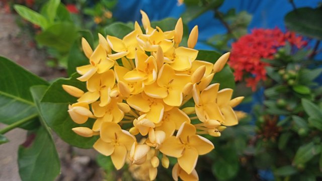 IMG20250520105205.jpg