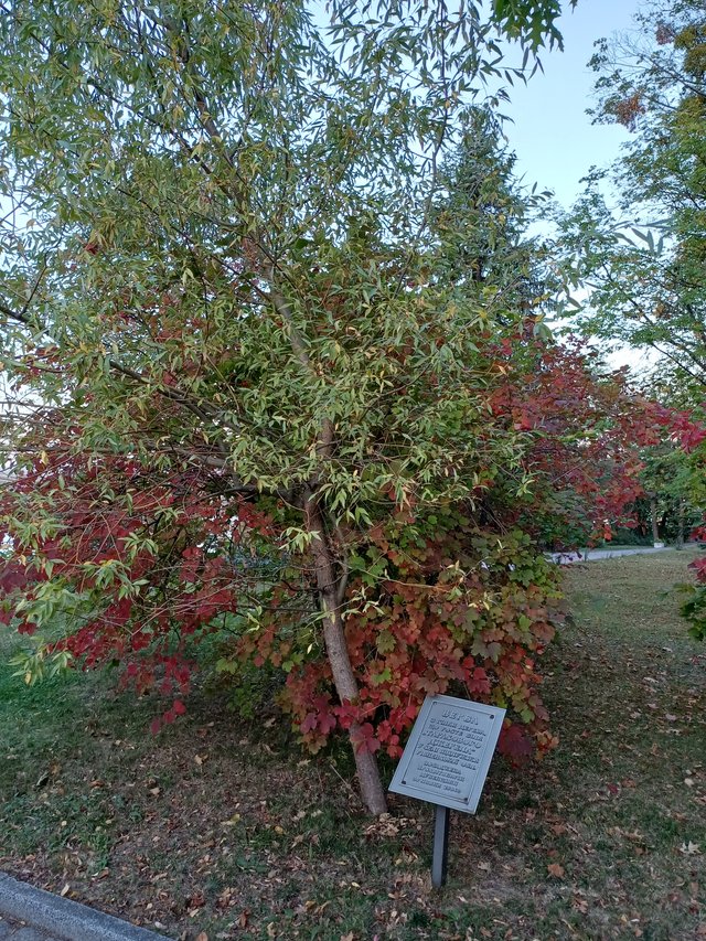 20250920_184047.jpg