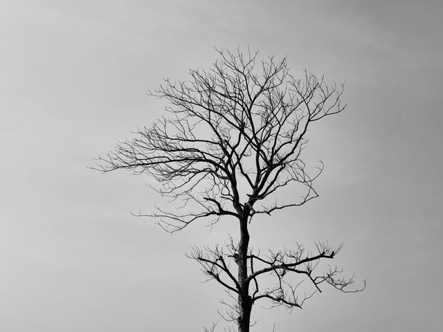 20211216_131322.jpg