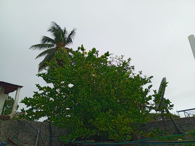 IMG_20250402_090508_955.jpg