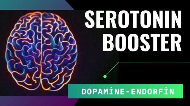 serotonın booster.jpeg