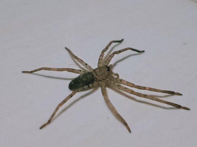 IMG20250329041848.jpg