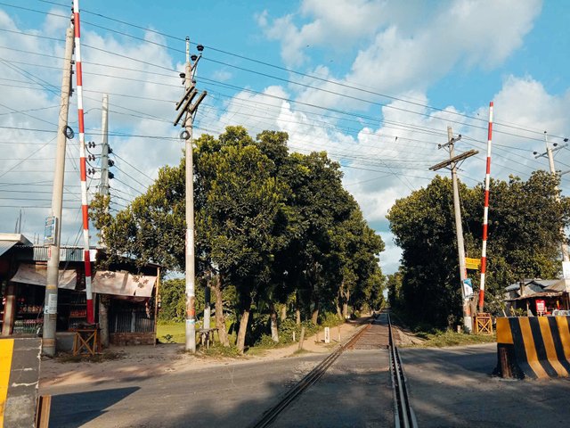 1000579535.jpg