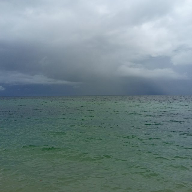 20250503_130851.jpg