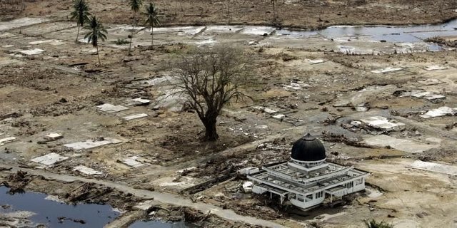 2215455tsunami-aceh-hoshiko780x390.jpg