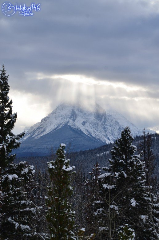 athabasca_pass.jpg