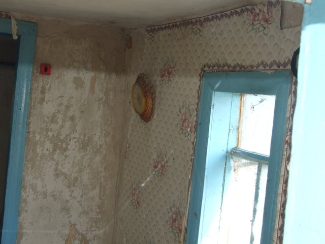 DSCF1399.JPG