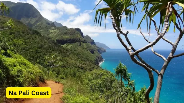 Waimea Canyon State Park (2).webp