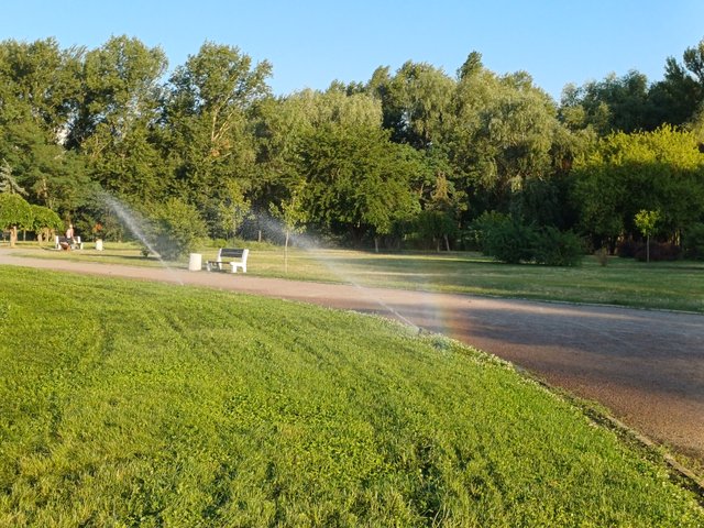 20250722_064645.jpg