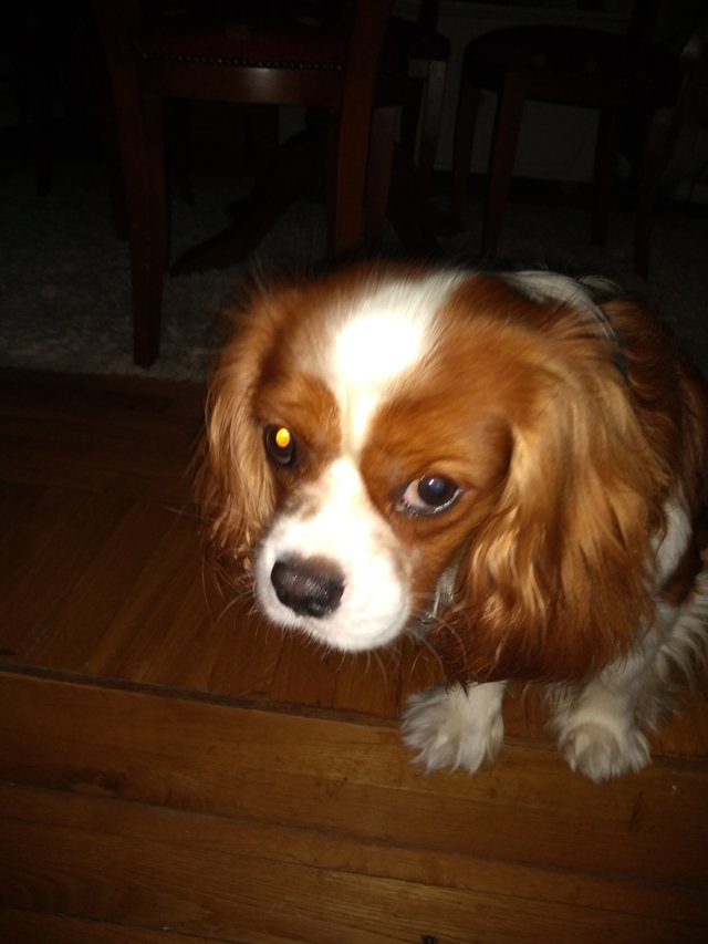 2021-08-02 08.54.20.jpg