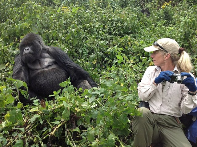 Top 8 Mistakes to Avoid During Gorilla Tracking Rwanda.jpg