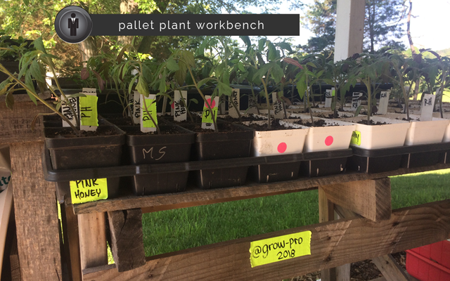 plant-workbench-from-pallets-by-gro-pro.png