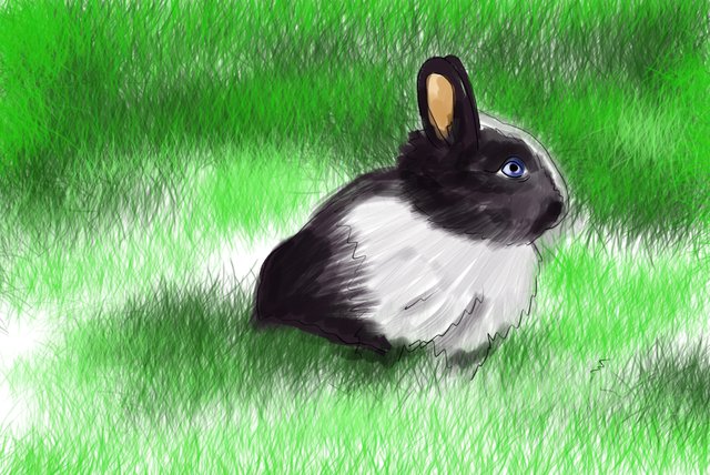 rabbit(460).jpg