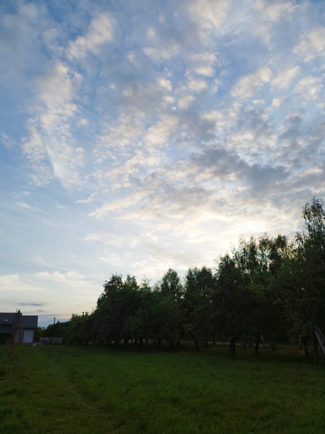IMG_20250627_211051.jpg