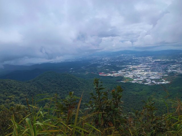 248b0211-3fbe-4f66-ac50-1f27d7e05185.jpg