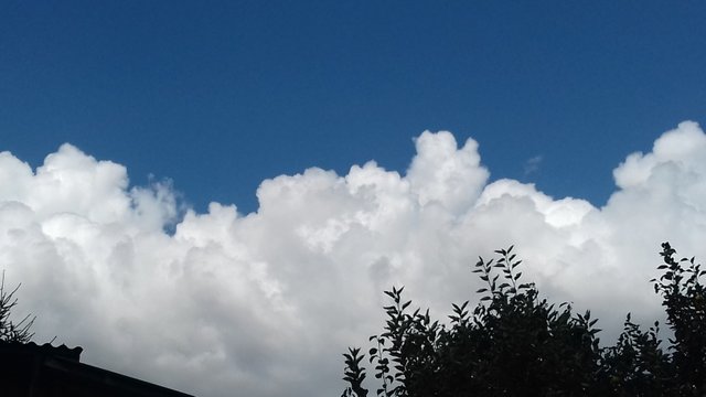 20180726_111057.jpg