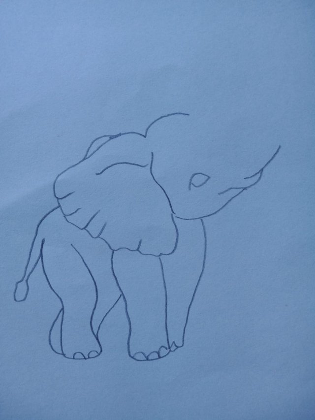 Elephant (2).jpg