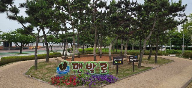 KakaoTalk_20250801_022657402.jpg