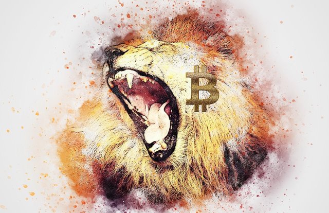 Bitcoin, král, lev, zlobí, altcoiny, sezóna, kryptoměny, HODL.jpg