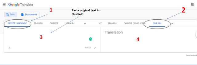 Google translate software.png