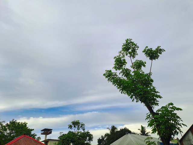 20250530_173511.jpg