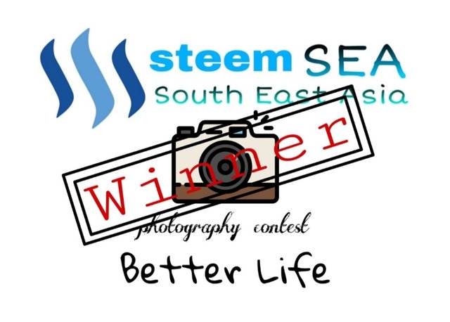 Steem SEA contest.jpg