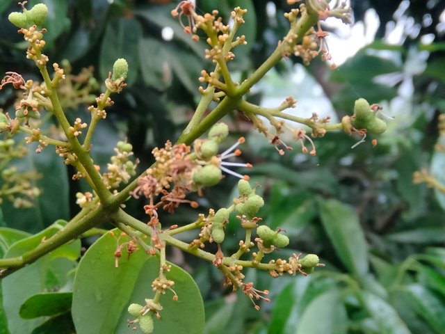 IMG20250321154541.jpg