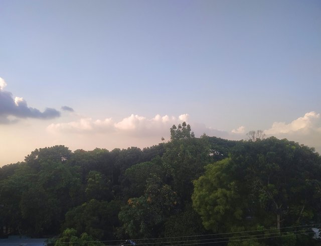 IMG_20230623_231335.jpg